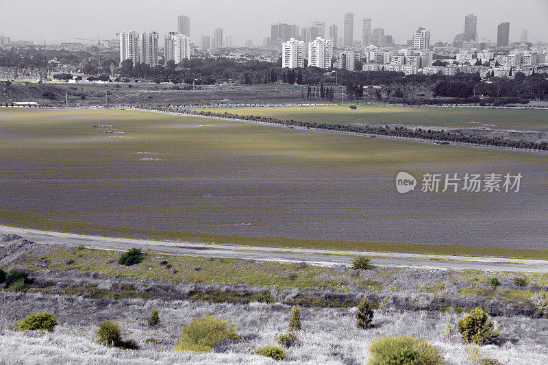 从Ariel Sharon Park发回的报道